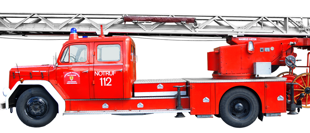 Penyemprotan Disinfektan di Hutan Kota